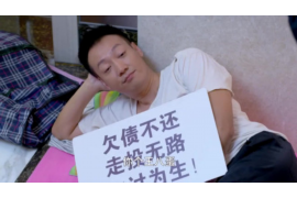 通許追款公司電話號(hào)碼查詢：解決欠款難題的一站式服務(wù)