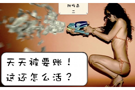 云南昆明女子討債：維權(quán)之路的艱辛與啟示
